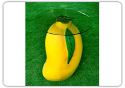 Plants: image 2 0f 4 thumb